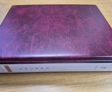 Poland vol 5. Britannia album with stamps 1984 - 1996.
