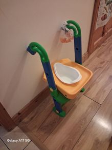 toliet steps