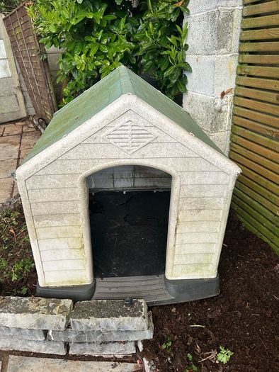 Dog Kennel