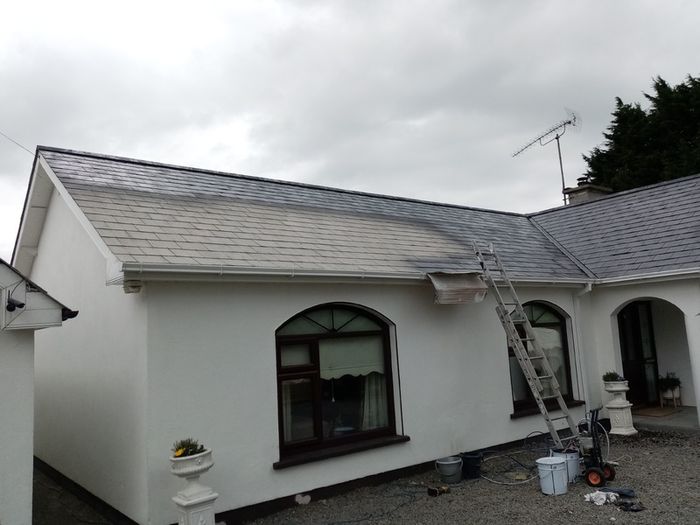Roof and Gutters Repair, Exterior & Interior Painting, Powerwashing-Cleaning Service