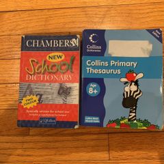 Dictionary & Thesaurus