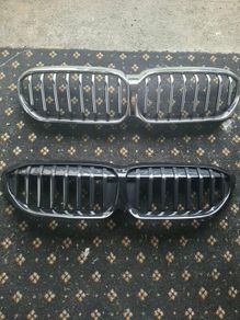 BMW Grill
