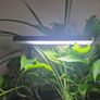 White Glass Aquarium (Complete Set-up) Image 4