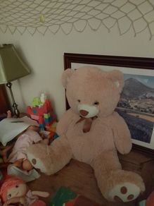 cute soft teddy bear
