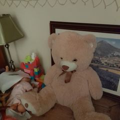 cute soft teddy bear