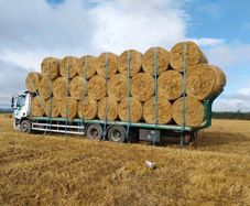 Rye straw excellent condition + delivery
