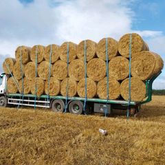 Rye straw excellent condition + delivery