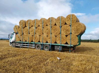 Rye straw excellent condition + delivery