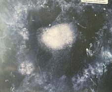 Swans - My Father Will Guide Me up a Rope to the Sky (First Press)