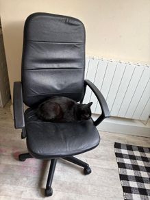 office chair