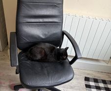 office chair
