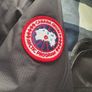 canada goose Image 6