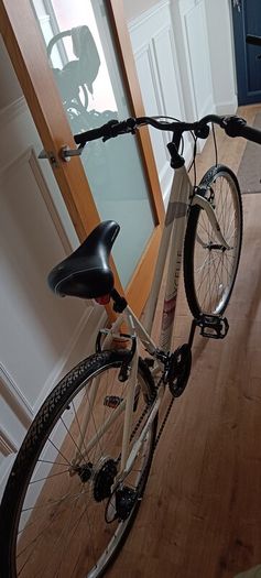 17 inch Bike