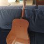 concerter  acoustic guitar Image 4