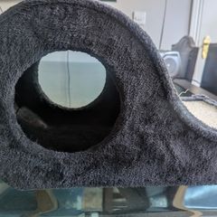 Cat Scratcher