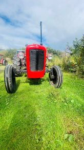 Massey Ferguson 35x