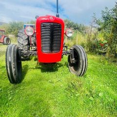 Massey Ferguson 35x