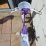 Ignite Bliss 16" bike Image 3