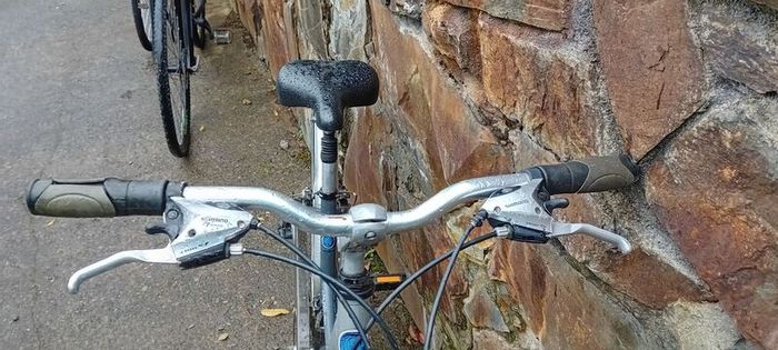 Bargin Ladies Bicycles X2