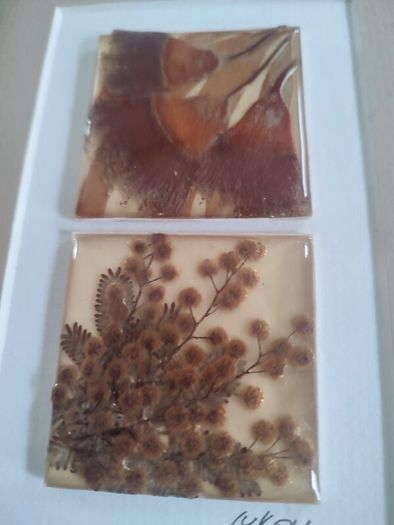 Unique artwork from Ocean Petals art studio are handmade with real Australian native fliowers