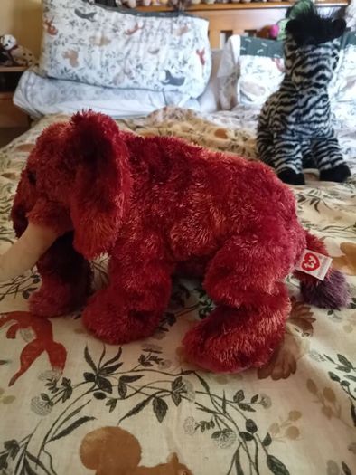 Ty Beanie Colosso Mammoth