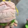 Lime Chiffon with Friend Parfait Parrot Strawberry Shortcake Doll Ccomplete outfit HTF AGC Kenner A.G.C same era as MLP G1 My Little Pony Image 10