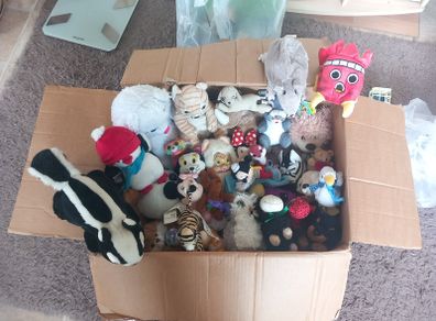 plushies box full nr1