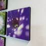 Macro images of Nature on removable foam tiles Image 2