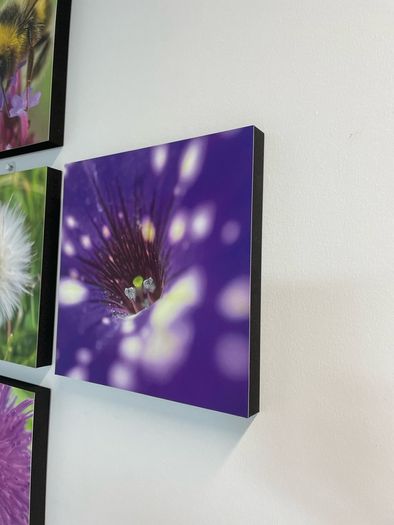 Macro images of Nature on removable foam tiles