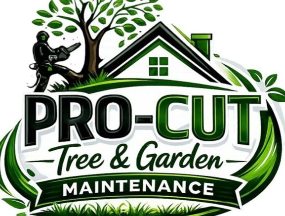 Pro-Cut Pressure Washing and Garden Maintenance Dublin