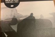 Dog In The Snow - Vanishing Lands