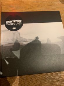 Dog In The Snow - Vanishing Lands