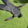 Ripcurl wet suit medium Image 4