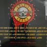 Guns N' Roses - Use Your Illusion l. Image 2