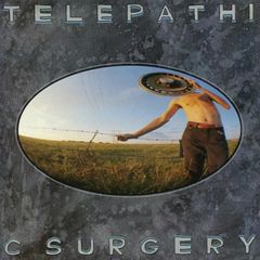 Flaming lips Telepathic Surgery lp