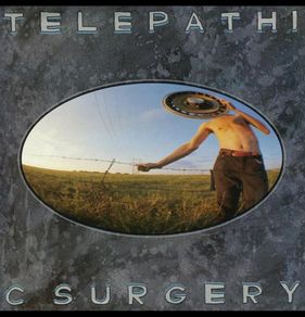 Flaming lips Telepathic Surgery lp