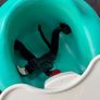 Bumbo floor seat and tray Image 3