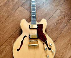 Epiphone Sheraton
