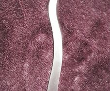 Serving Spoon - Stainless Steel