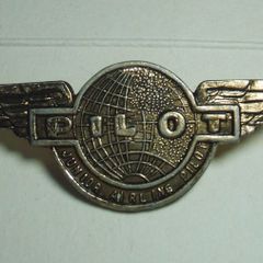 JUNIOR AIRLINE PILOT (plastic) - airline 'golden wings' badge (1970's or earlier)