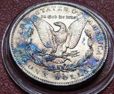 1889 Silver Morgan Toned 1 Dollar coin
