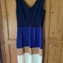 Ladies Dress by Coast Image 4