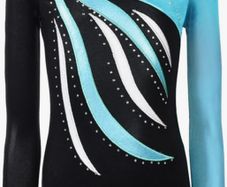 Girls long sleeved gymnastics leotard