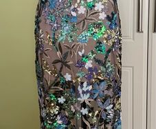 Ladies Dress
