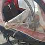 cargo bike Image 6