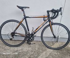 Bicycle for sale