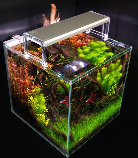 Skylight ENTRIQ FL.75 Aquarium Waterproof Lights