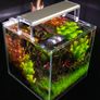 Skylight ENTRIQ FL.75 Aquarium Waterproof Lights Image 2
