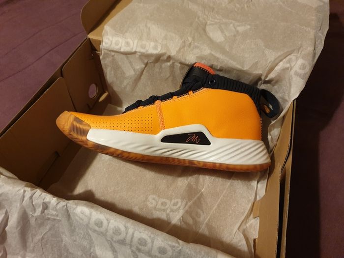 Basketball trainers