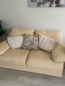 2 seater couch pull out bed